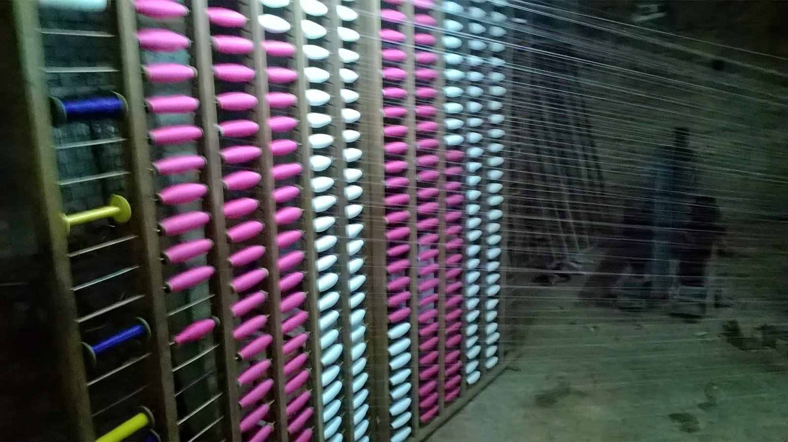 Tant Industry Visit, 2017, photo 6