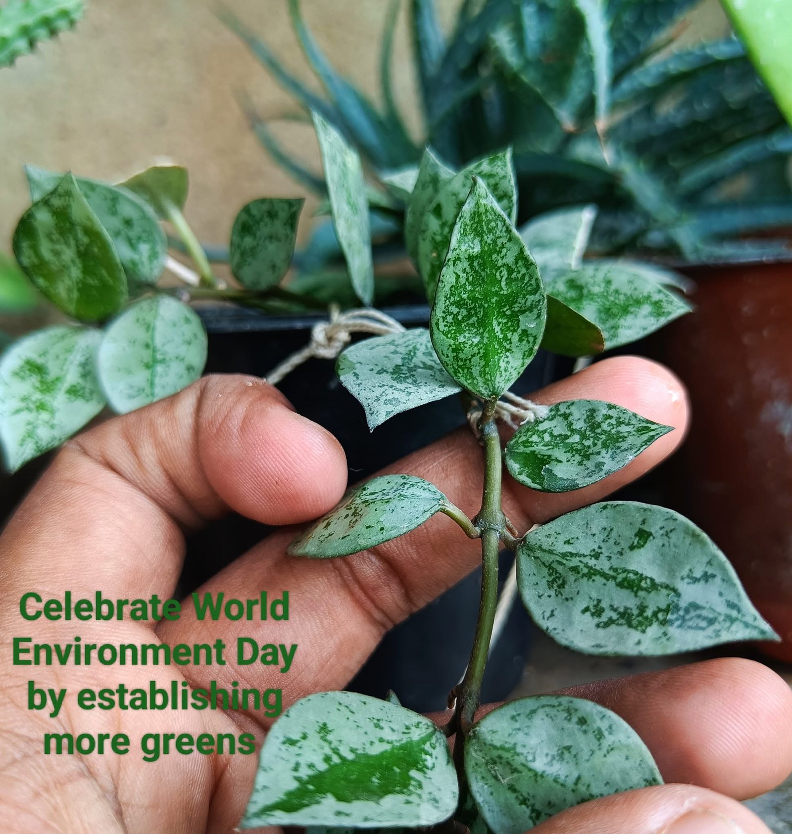 Environment Day, 2022, photo 1