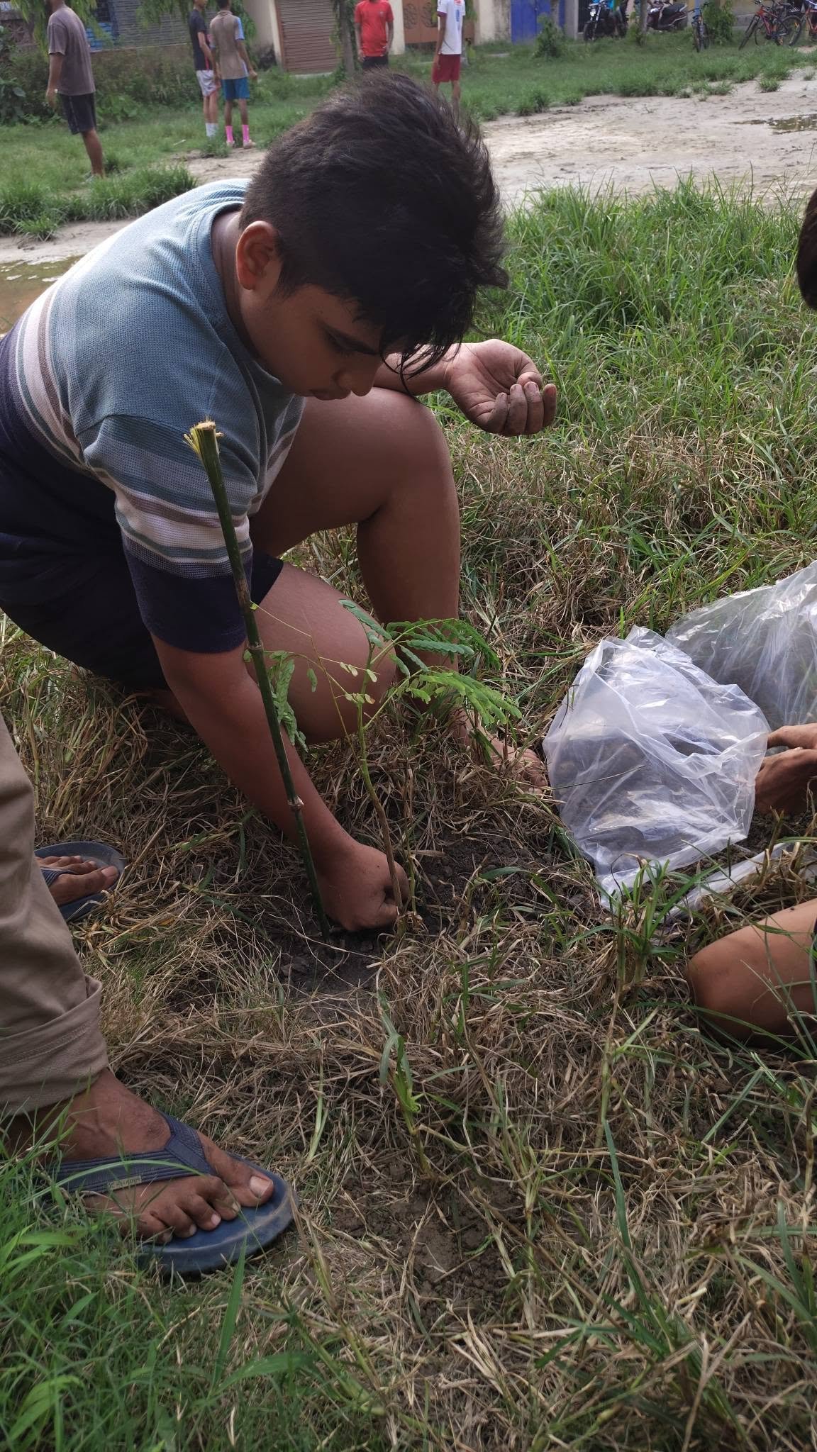 Environment Day, 2026, photo 13