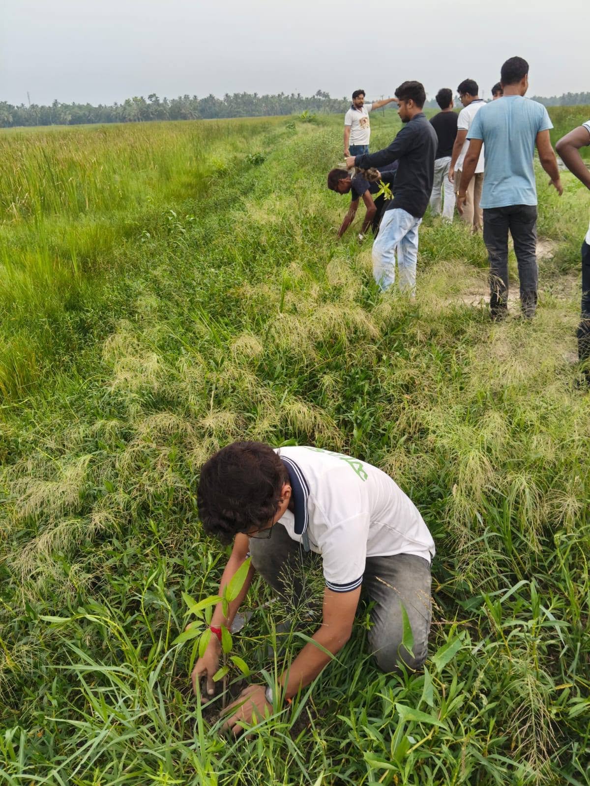 Environment Day, 2026, photo 7