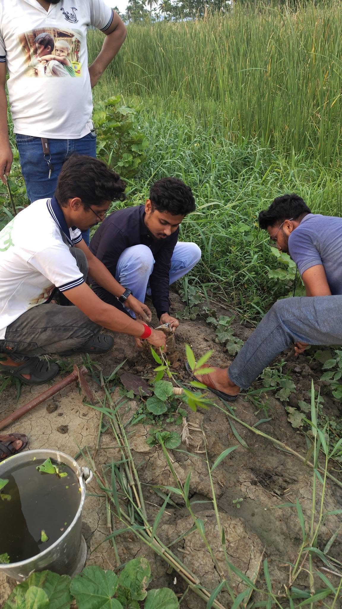 Environment Day, 2026, photo 19