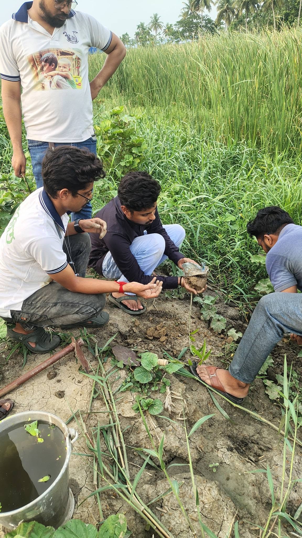 Environment Day, 2026, photo 16