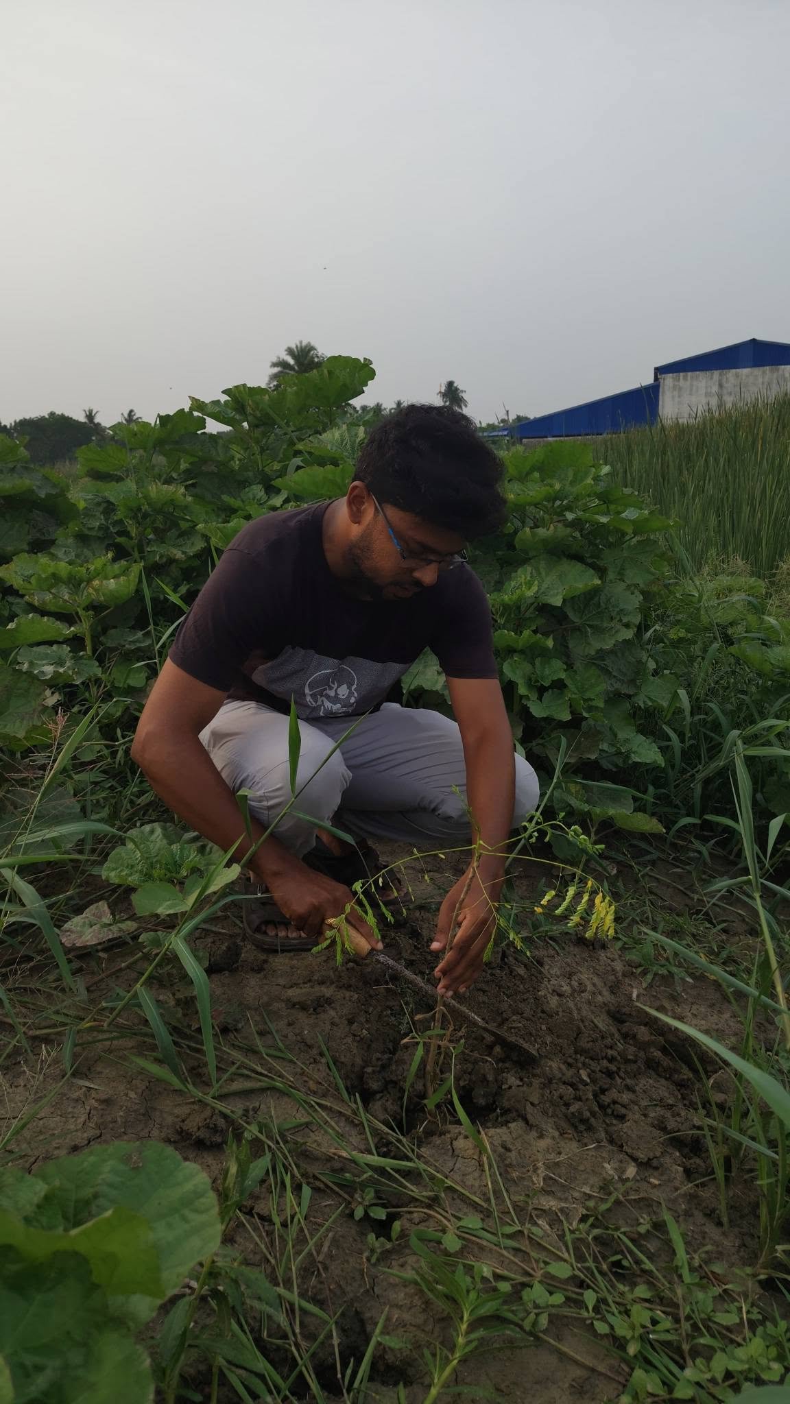 Environment Day, 2026, photo 12